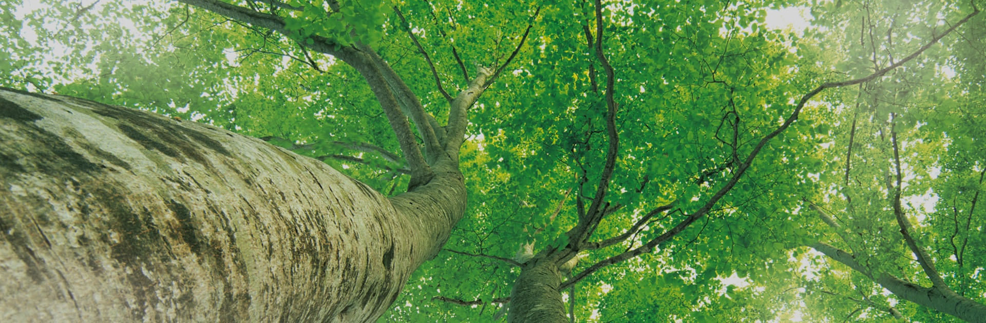 中国·5163银河手机版(股份)有限公司-官方网站