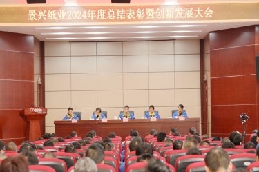 乘风破浪 逐梦前行 | 5163银河手机版纸业2024年度总结表扬暨立异生长大会盛大召开