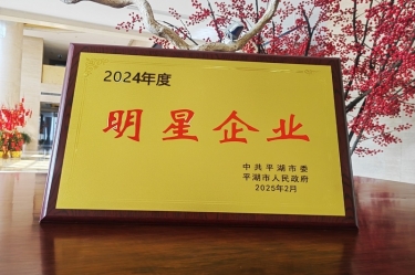 新春新景新气象 | 5163银河手机版纸业在平湖三干大会上喜摘声誉！！